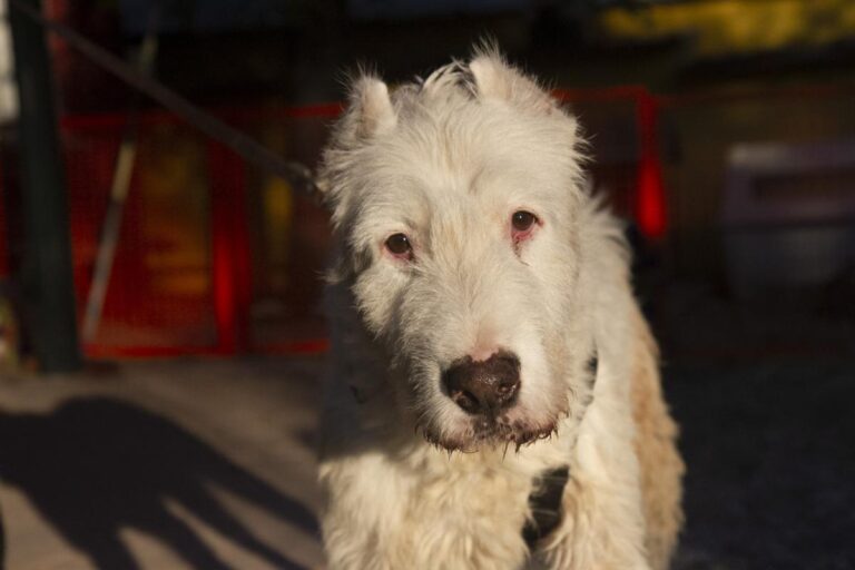 multimedia-foto75498-328-1