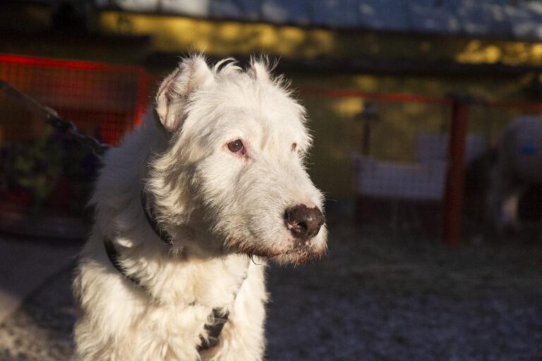 multimedia-foto75499-328-1