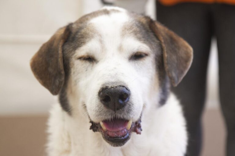 multimedia-foto75521-593-1