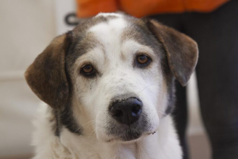 multimedia-foto75523-594-1