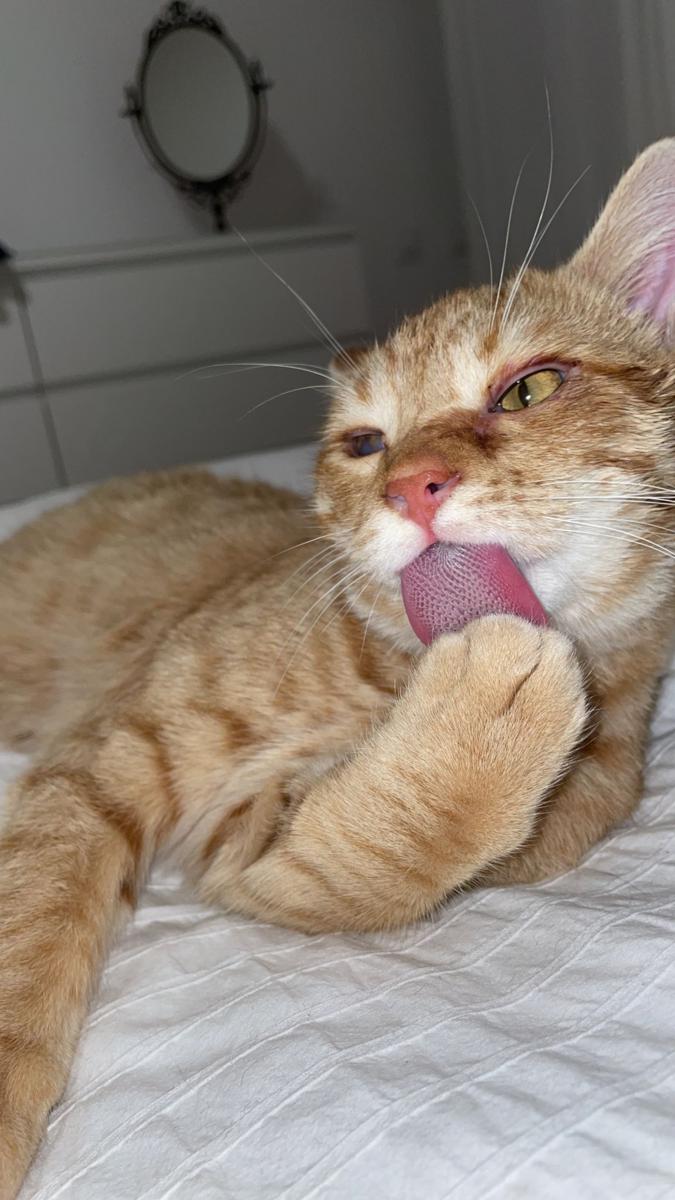 multimedia-foto75576-610-1