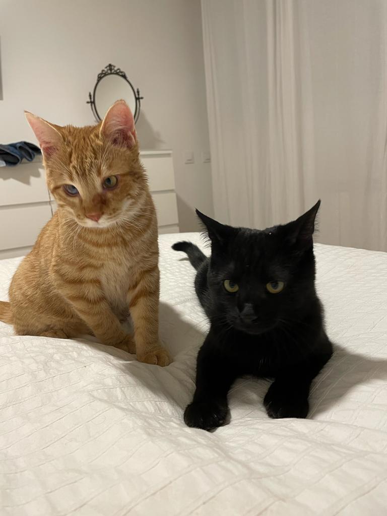 multimedia-foto75577-610-1