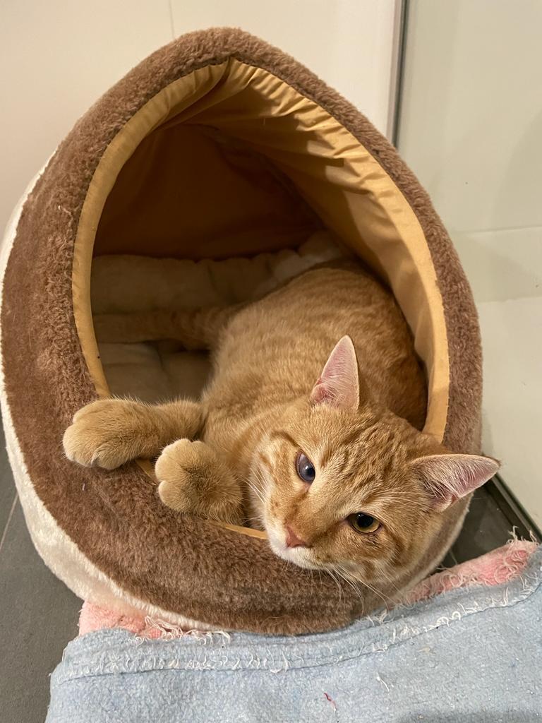 multimedia-foto75602-236-1