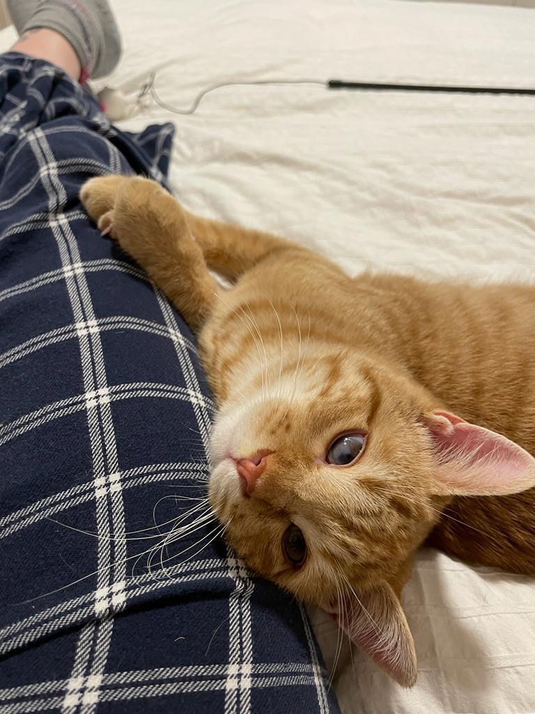 multimedia-foto75603-237-1