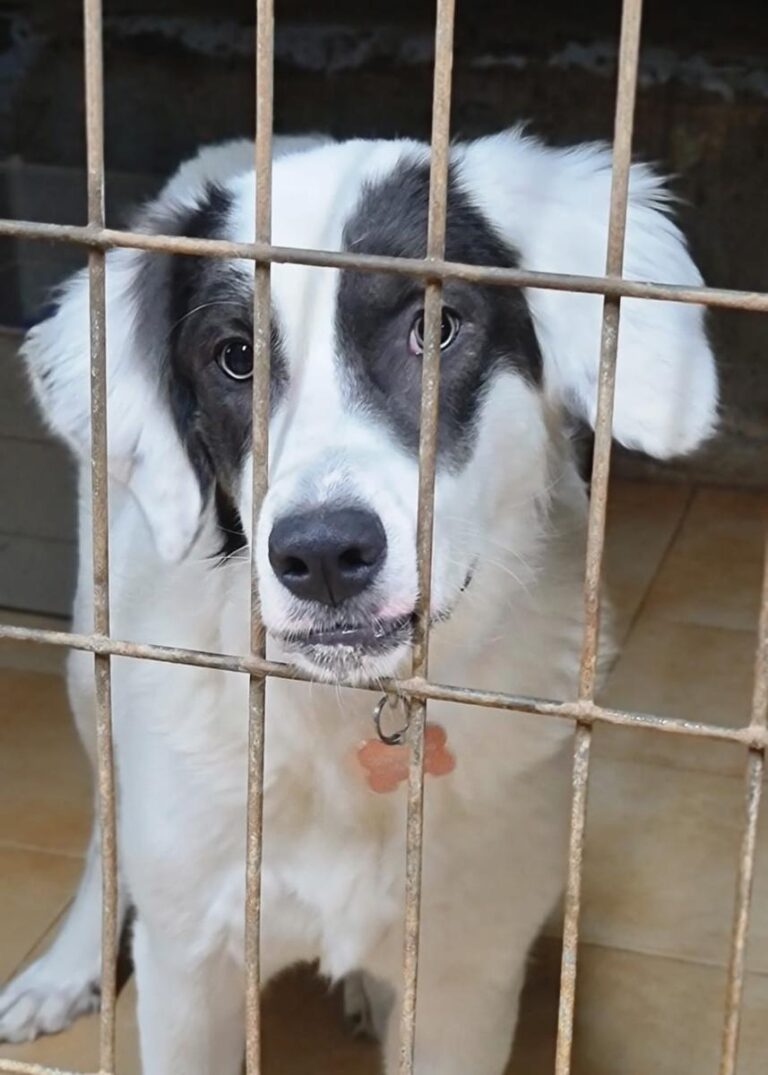 multimedia-foto75676-868-1