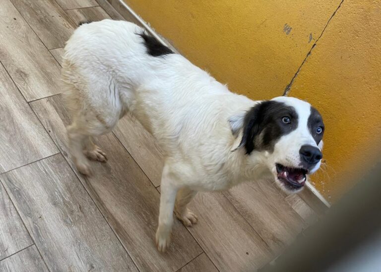 multimedia-foto75677-868-1