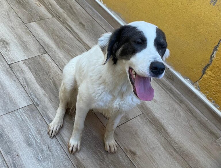 multimedia-foto75678-868-1