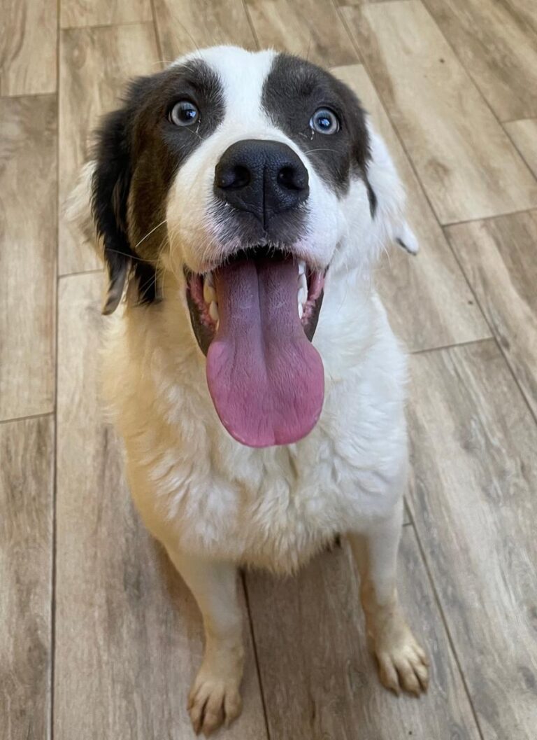 multimedia-foto75679-868-1