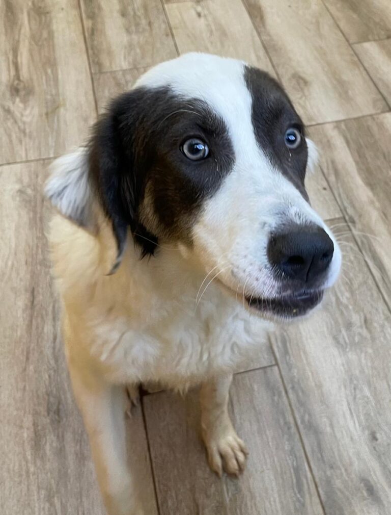 multimedia-foto75680-869-1