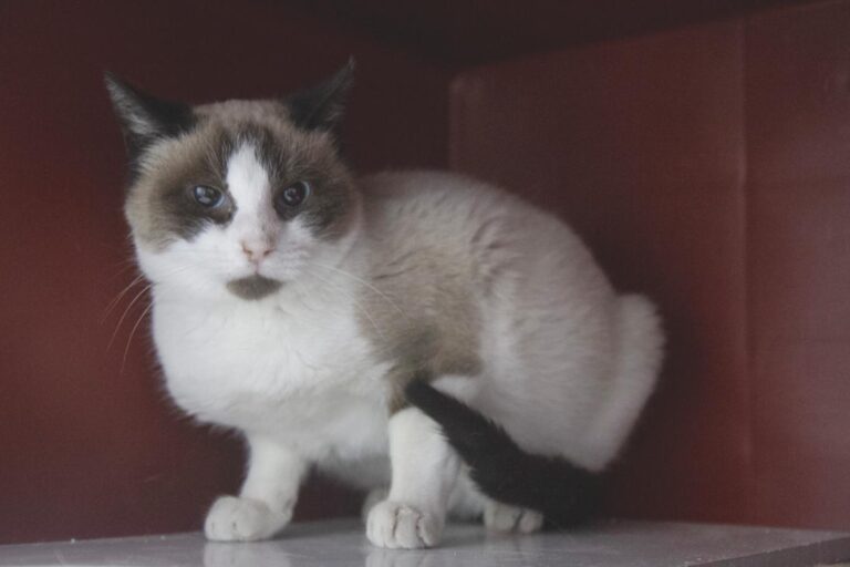 multimedia-foto75686-955-1