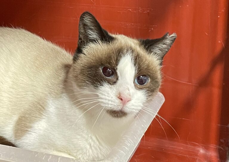 multimedia-foto75687-955-1