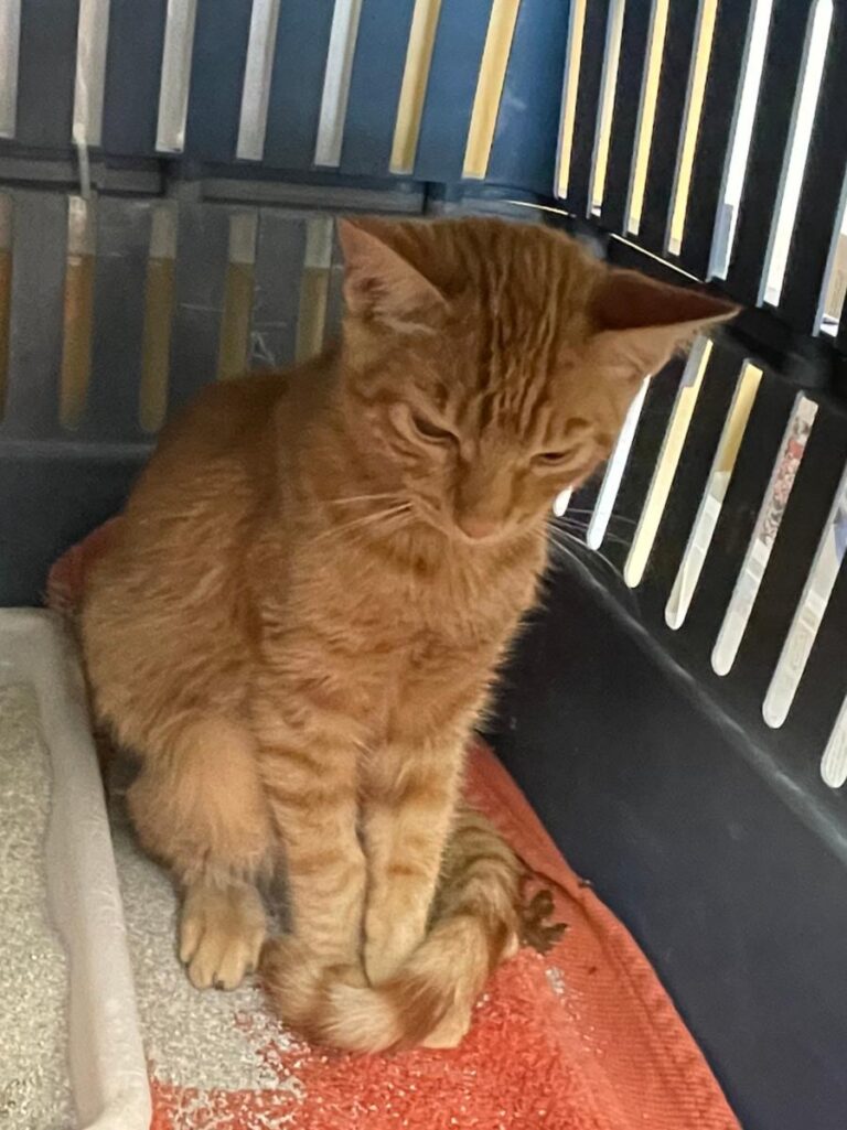 multimedia-foto75689-488-1