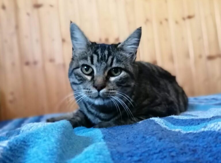 multimedia-foto75731-374-1