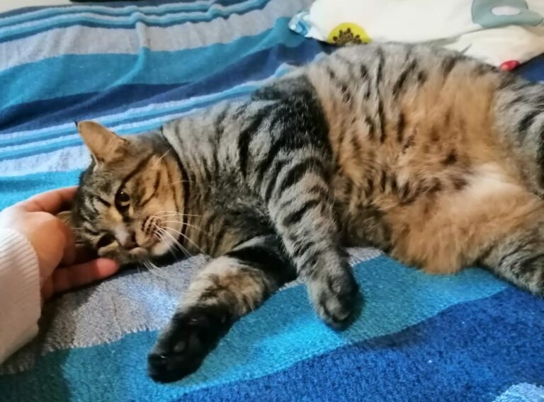 multimedia-foto75733-374-1