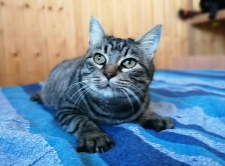 multimedia-foto75734-375-1