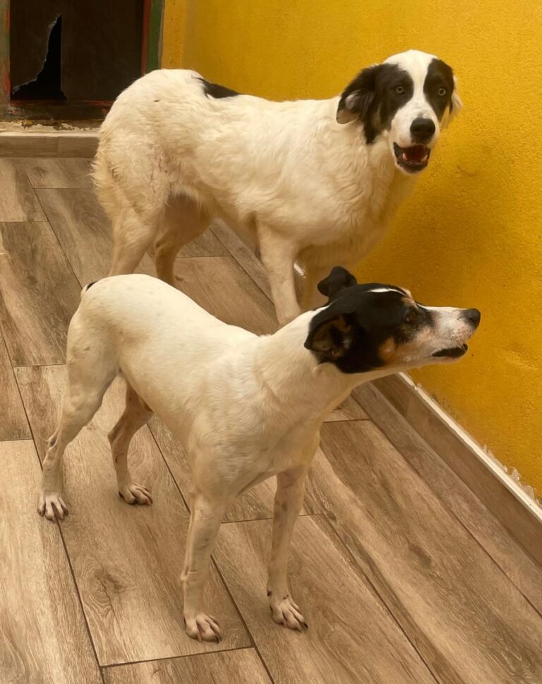 multimedia-foto75737-88-1