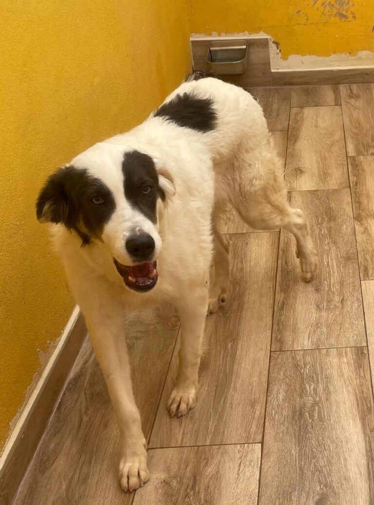 multimedia-foto75738-88-1