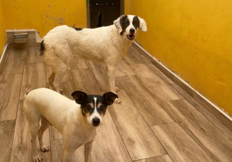 multimedia-foto75739-88-1