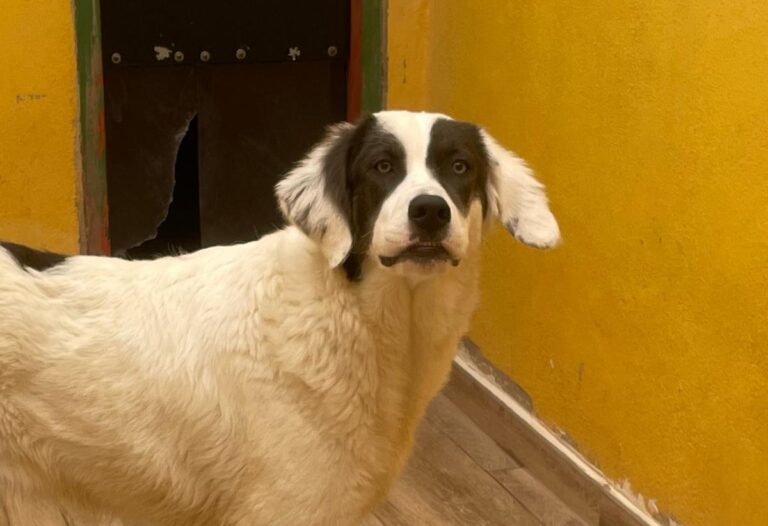 multimedia-foto75741-89-1