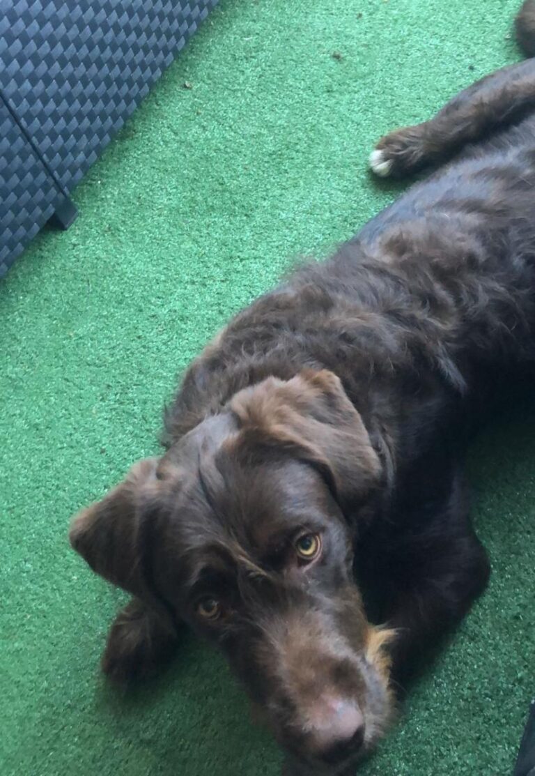 multimedia-foto75795-31-1