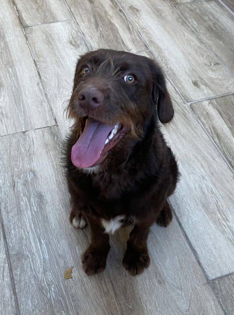 multimedia-foto75796-31-1