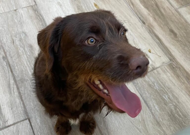 multimedia-foto75797-31-1