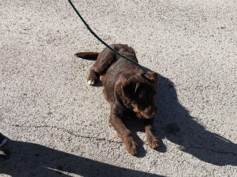 multimedia-foto75798-31-1