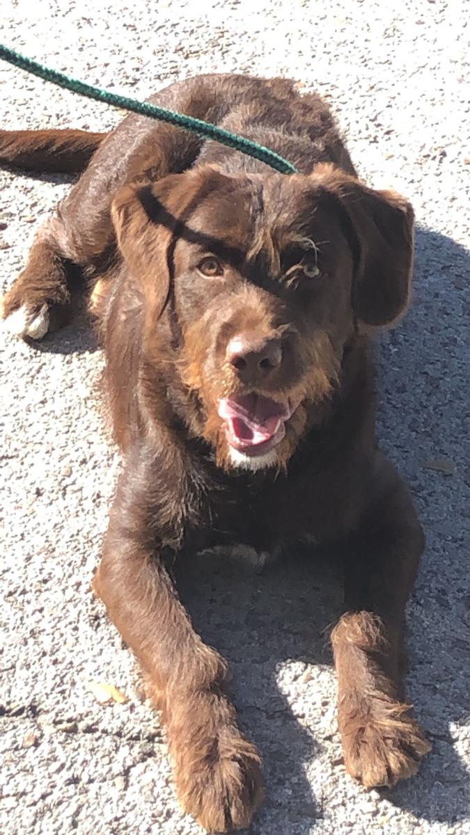 multimedia-foto75799-32-1