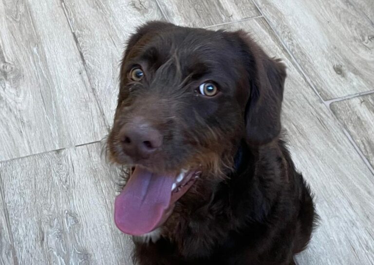 multimedia-foto75800-32-1