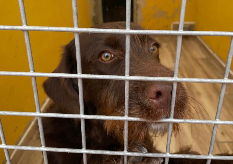 multimedia-foto75802-846-1