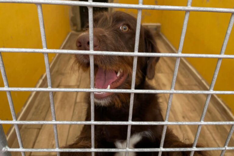 multimedia-foto75803-846-1