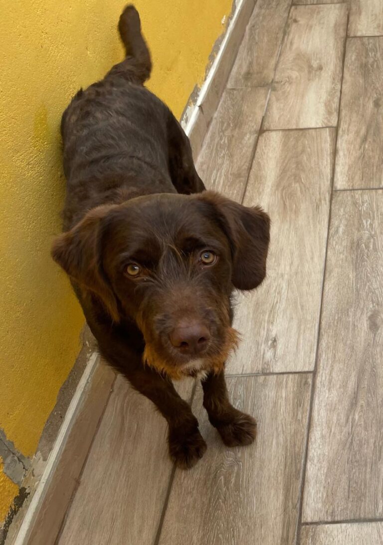 multimedia-foto75804-846-1