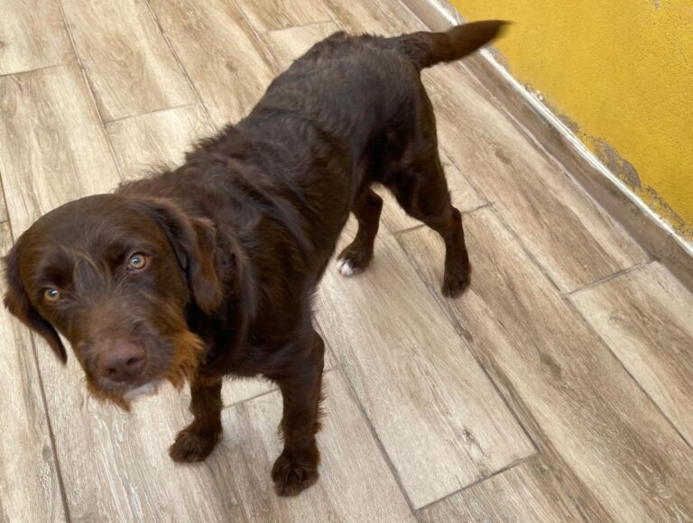 multimedia-foto75805-847-1