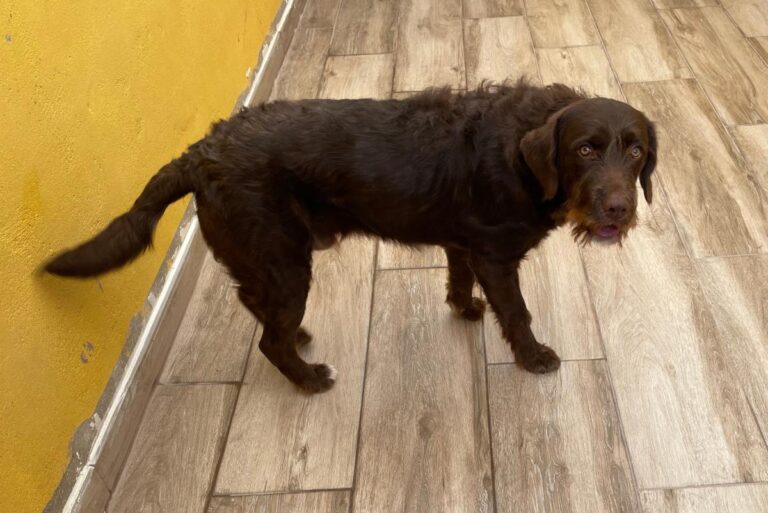 multimedia-foto75806-847-1