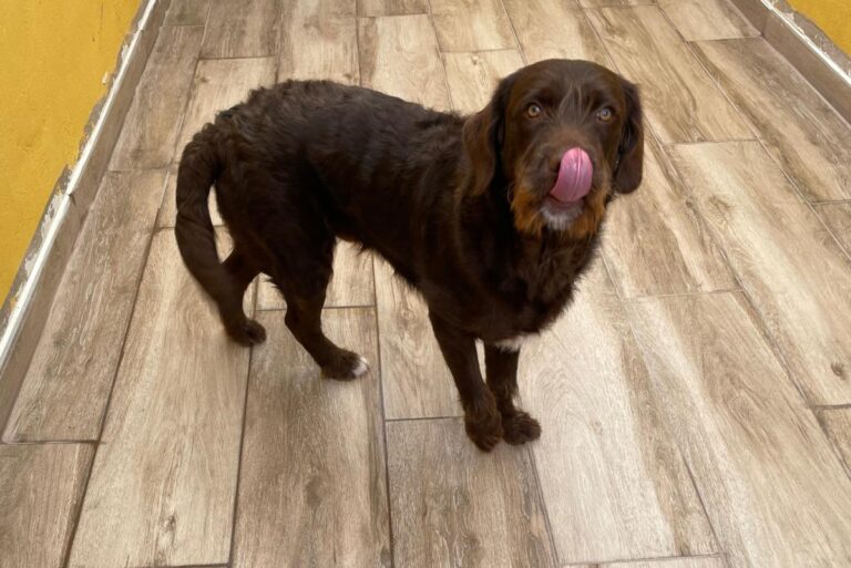 multimedia-foto75807-847-1