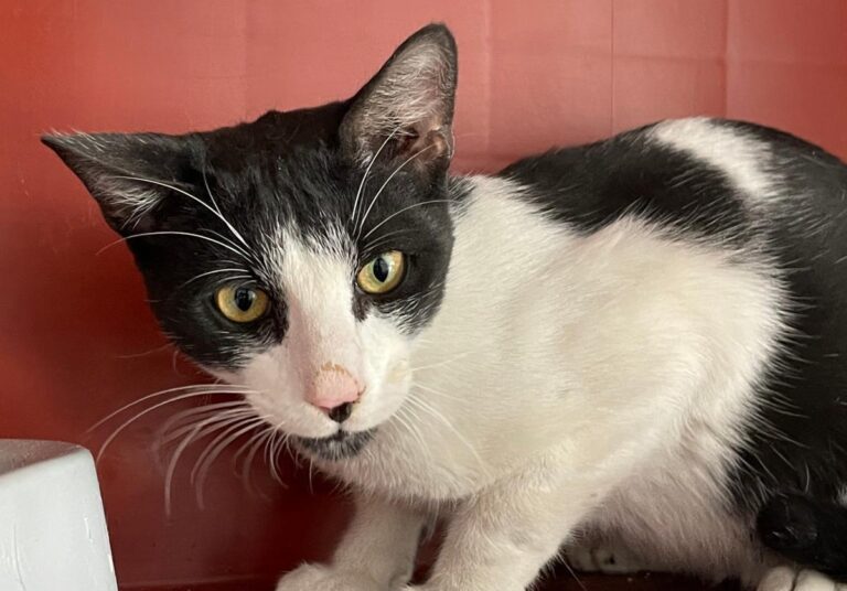 multimedia-foto75848-346-1