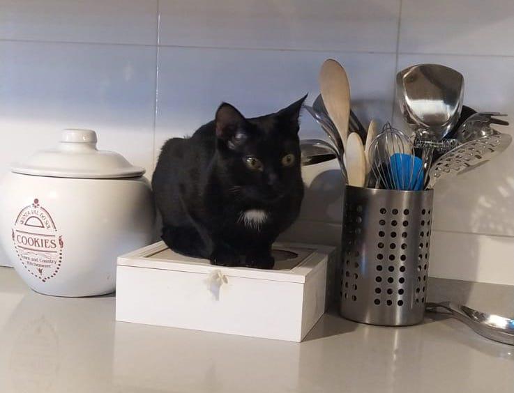 multimedia-foto75856-306-1