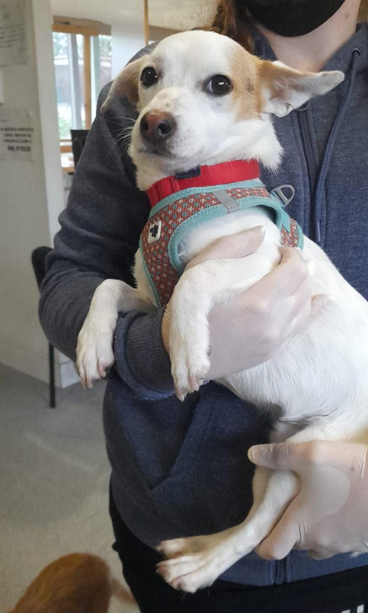 multimedia-foto75873-146-1