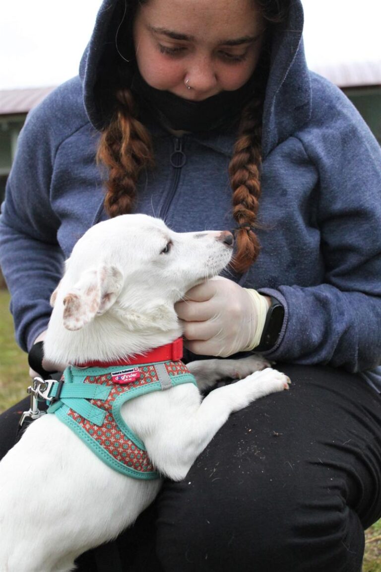 multimedia-foto75874-146-1