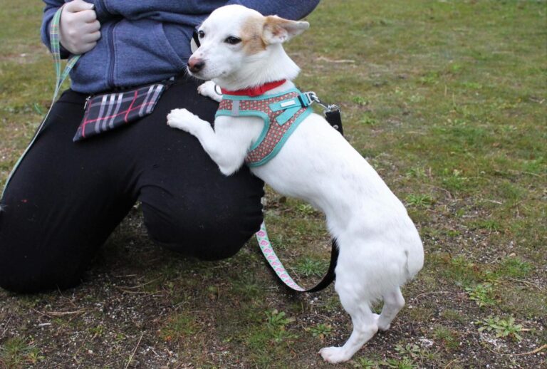 multimedia-foto75875-147-1