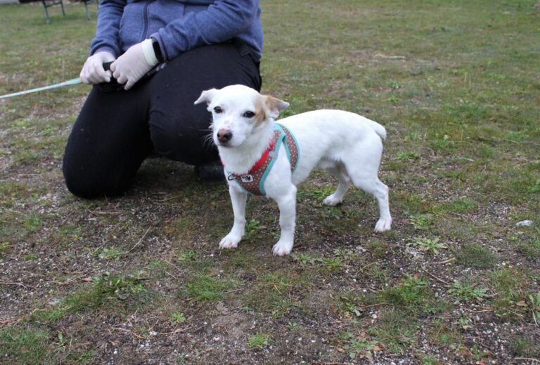 multimedia-foto75876-147-1