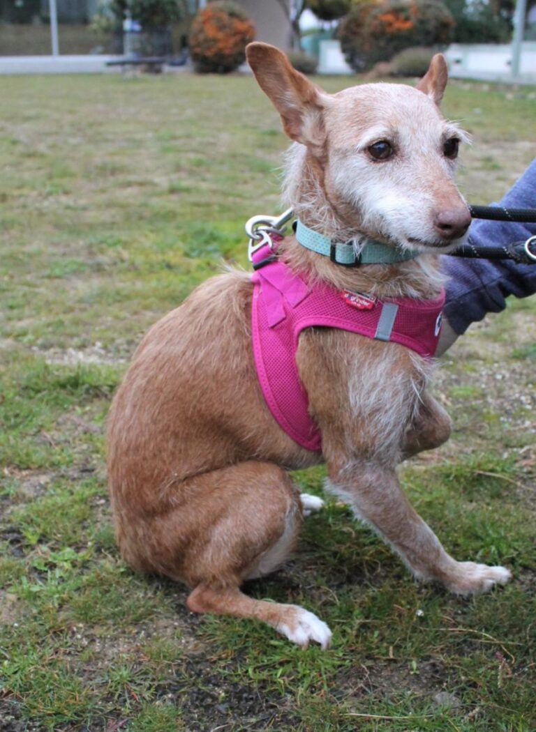 multimedia-foto75880-24-1