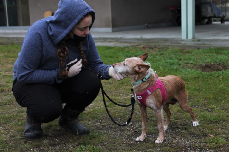 multimedia-foto75881-25-1