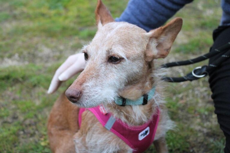 multimedia-foto75882-25-1