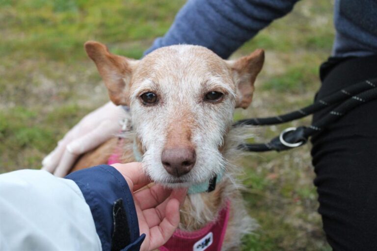 multimedia-foto75883-25-1