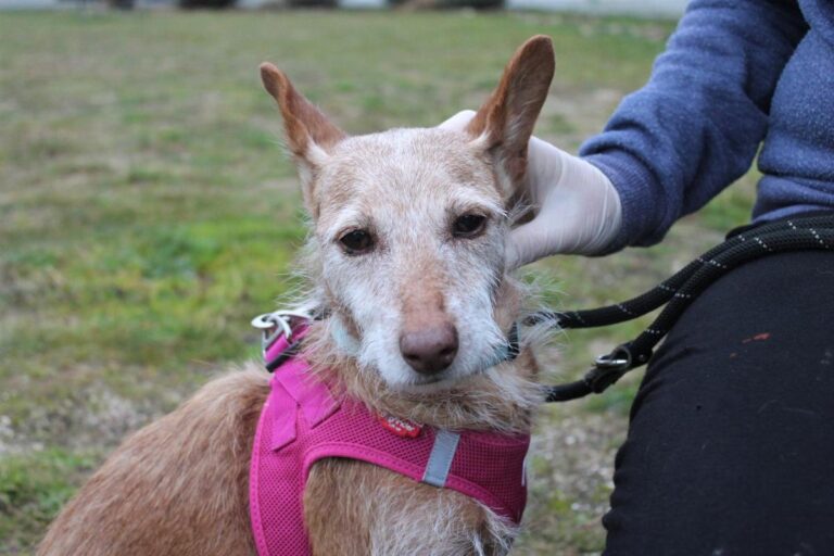 multimedia-foto75884-25-1