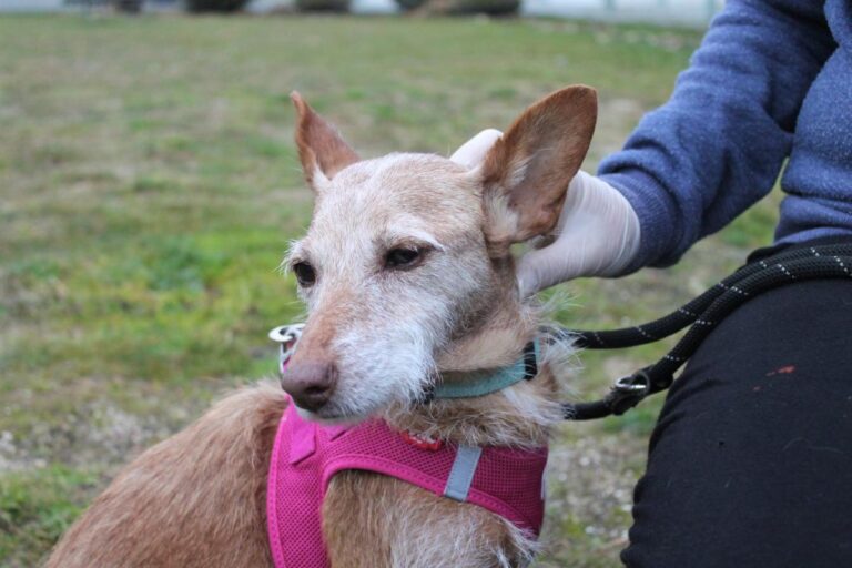 multimedia-foto75885-25-1