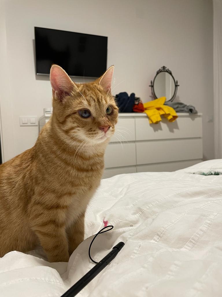 multimedia-foto75897-268-1