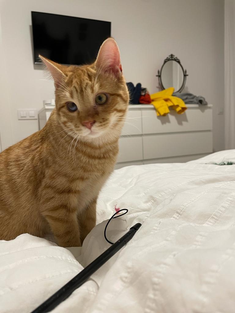 multimedia-foto75899-268-1