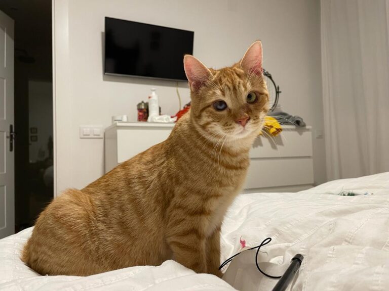 multimedia-foto75900-269-1